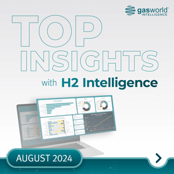 Monthly Insights – August 2024